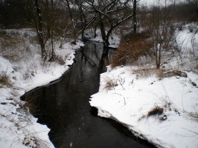 59.jpg